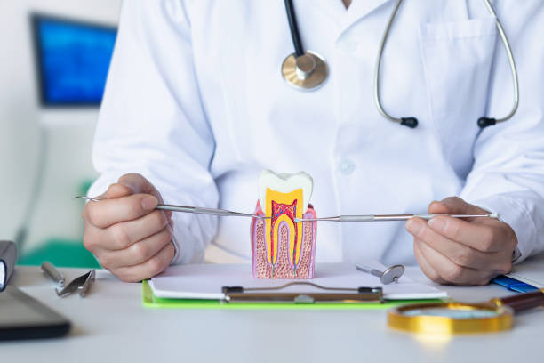 Best Emergency Root Canal Therapy in Wauconda, IL